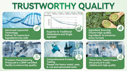 𝐎𝐟𝐟𝐢𝐜𝐢𝐚𝐥 𝐒𝐭𝐨𝐫𝐞 | 🧑‍⚕️🩺 Solaroza® 𝐌𝐨𝐫𝐢𝐧𝐠𝐚 · 𝐁𝐞𝐫𝐛𝐞𝐫𝐢𝐧𝐞 × 𝐍𝐀𝐃+ 𝟏𝟎-𝐢𝐧-𝟏 𝐀𝐝𝐯𝐚𝐧𝐜𝐞𝐝 𝐍𝐚𝐧𝐨 𝐌𝐢𝐜𝐫𝐨𝐧𝐞𝐞𝐝𝐥𝐞 𝐏𝐚𝐭𝐜𝐡 — 𝐎𝐧𝐜𝐞 𝐃𝐚𝐢𝐥𝐲, 𝐕𝐢𝐬𝐢𝐛𝐥𝐞 𝐑𝐞𝐬𝐮𝐥𝐭𝐬 𝐢𝐧 𝟕 𝐃𝐚𝐲𝐬